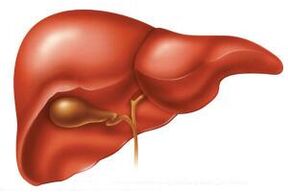 In the acute stage of helminthiasis, the liver can enlarge