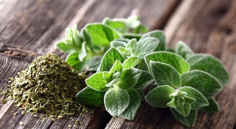 oregano has antiparasitic activity