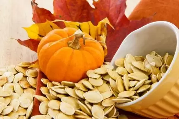 pumpkin seeds for earthworms