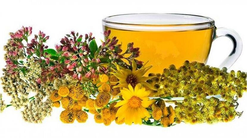 Decoction of chamomile against parasites